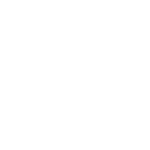 video chat
